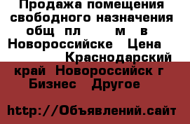 Продажа помещения свободного назначения общ. пл. 24,7 м.2 в . Новороссийске › Цена ­ 1 490 000 - Краснодарский край, Новороссийск г. Бизнес » Другое   